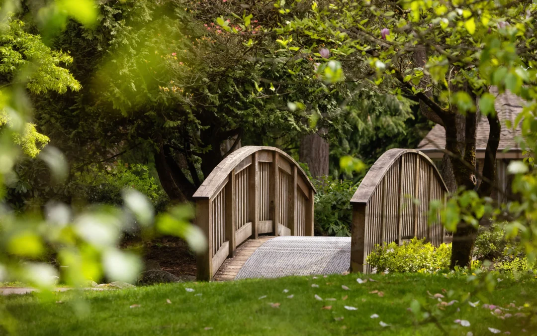 Case Study: Bridging the Gap Between Now and the Future for Aging Clients
