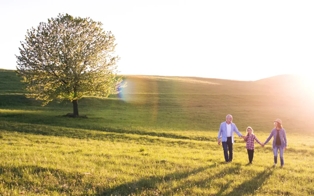 How to Help Your Client Select the Best Charitable Giving Structure