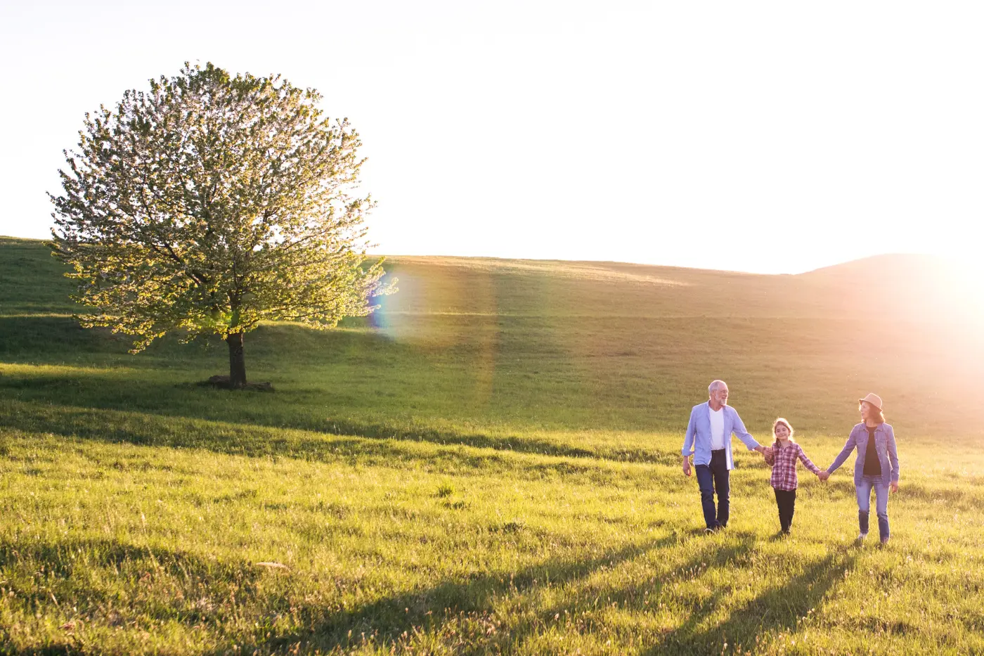 A family prepares for the creation of charitable trusts to create a legacy