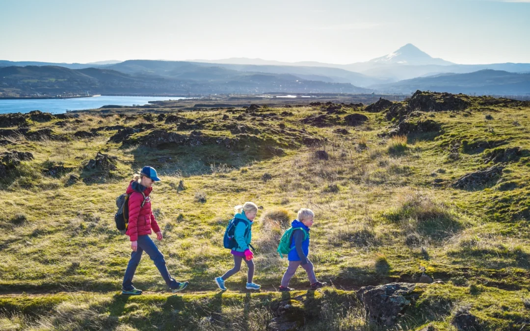 Should Your Clients Consider Adding Gifting Strategies to Their Wealth Transfer Plans?