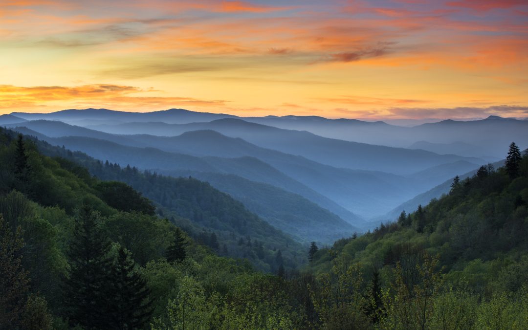 2026 Tennessee Trust Law Updates: Understanding Tennessee’s Latest Trust Legislation