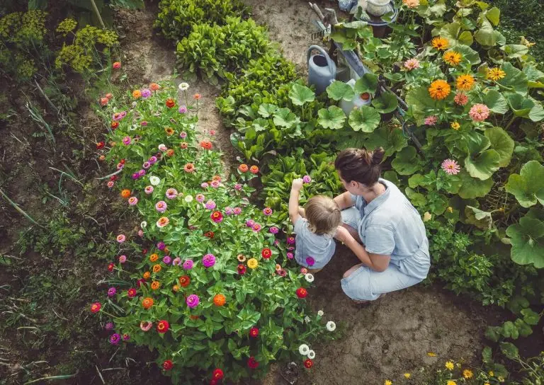 A woman and child look at colorful flowers in a garden.